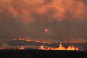 4.16 pasture burn, yeqiang wang