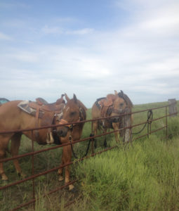 whistle,goldie at 62nd